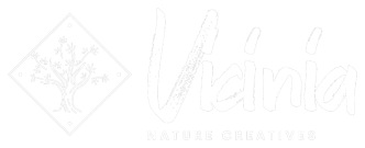 WEB-VNC-logo-White